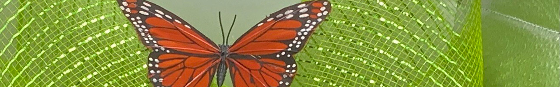 Just Jameen Product image with butter fly